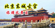 扒开嫩穴污视频中国北京-东城古宫旅游风景区